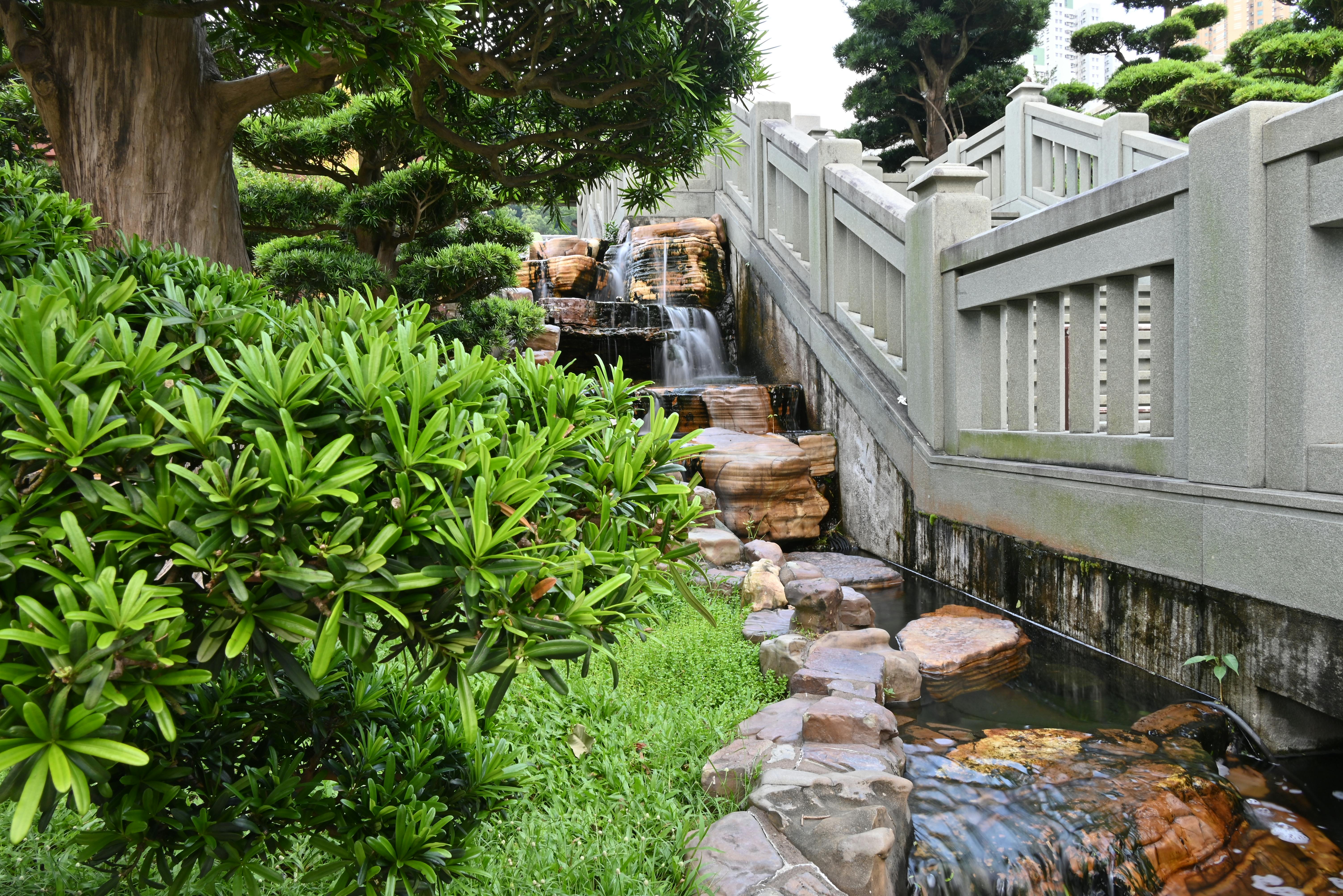 Descrição da Imagem 4